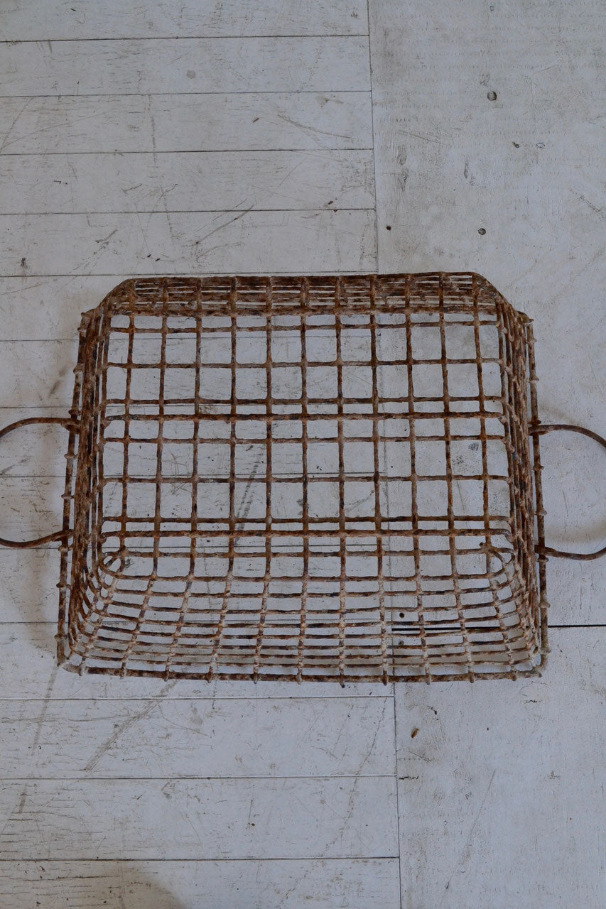 Oyster basket