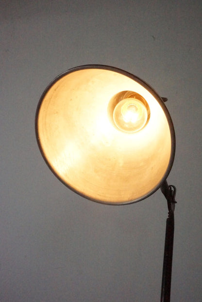 Desk Lamp /  GRAS NO.205