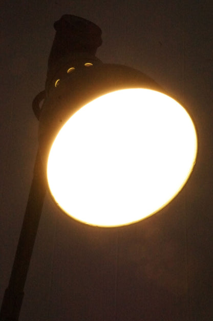 Clip Lamp  /  Rademacher
