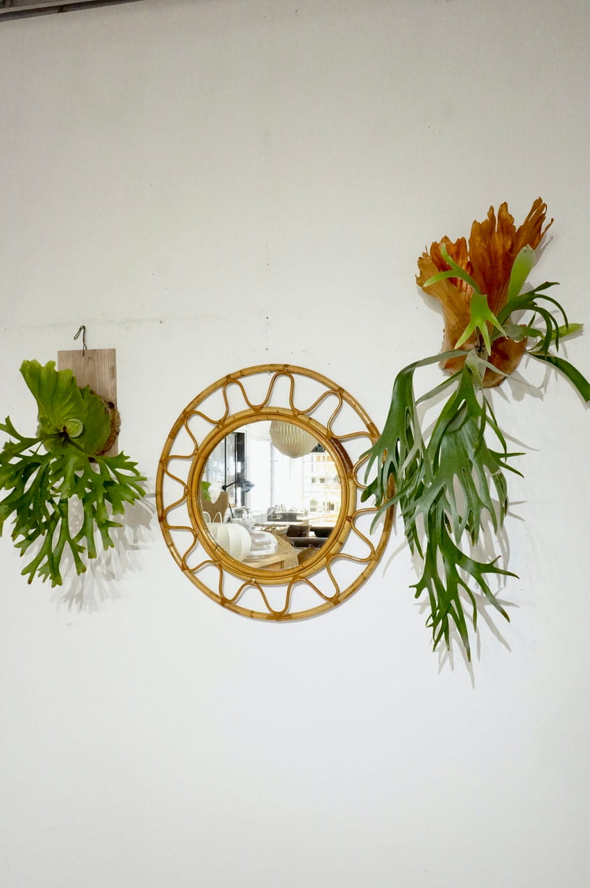 Mirror