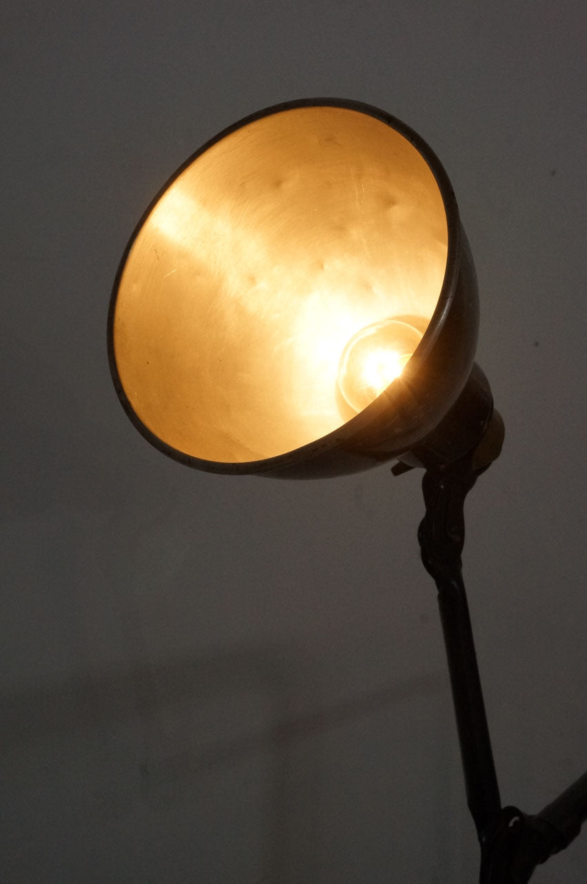 Clip Lamp / Gras  N403