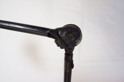 Clip Lamp / Gras  N403