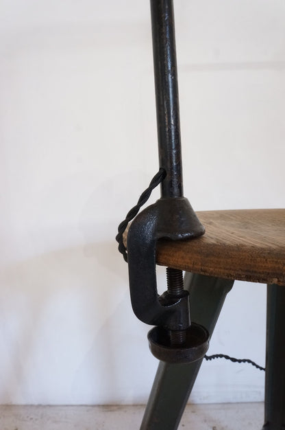 Clip Lamp / Gras  N403