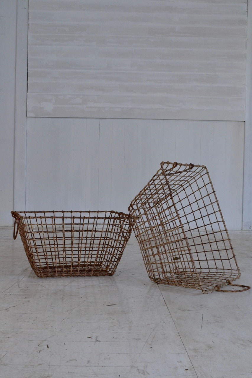 Oyster basket