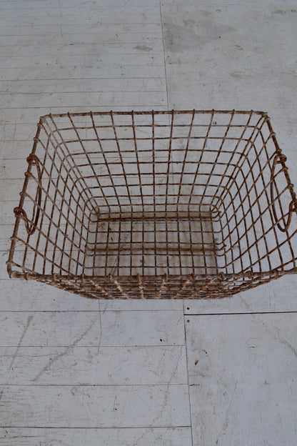 Oyster basket